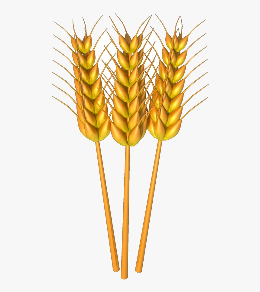 Wheat Clipart Images Transparent Png - Heliconia, Png Download, Free Download