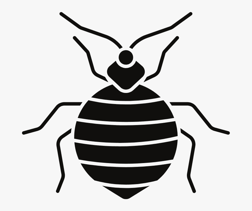 Honeybee, HD Png Download, Free Download