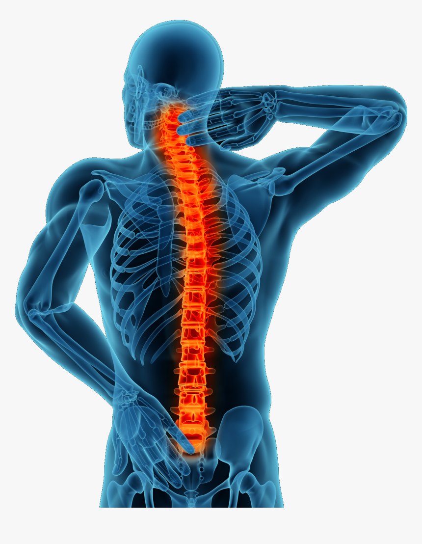 Infinity Centers United Back Pain Relief Treatment - Spine Surgery, HD Png Download, Free Download