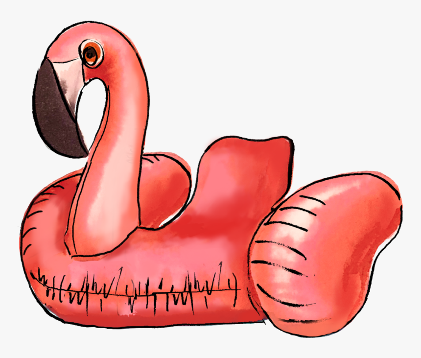 Greater Flamingo, HD Png Download, Free Download