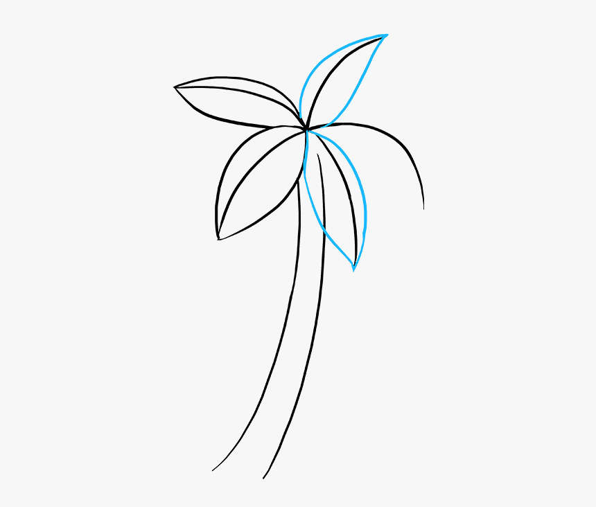 How To Draw Palm Tree - Vẽ Cây Dừa, HD Png Download, Free Download