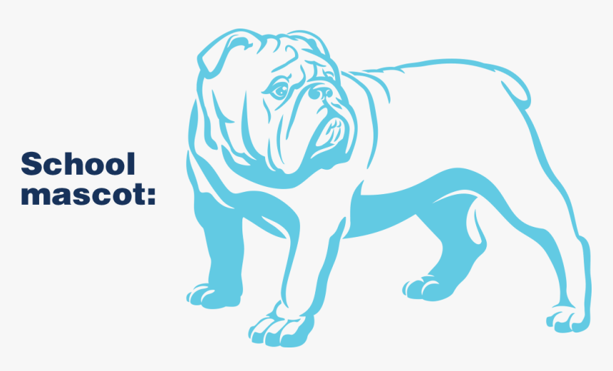 School Mascot - Bulldog - English Bulldog Vector, HD Png Download, Free Download