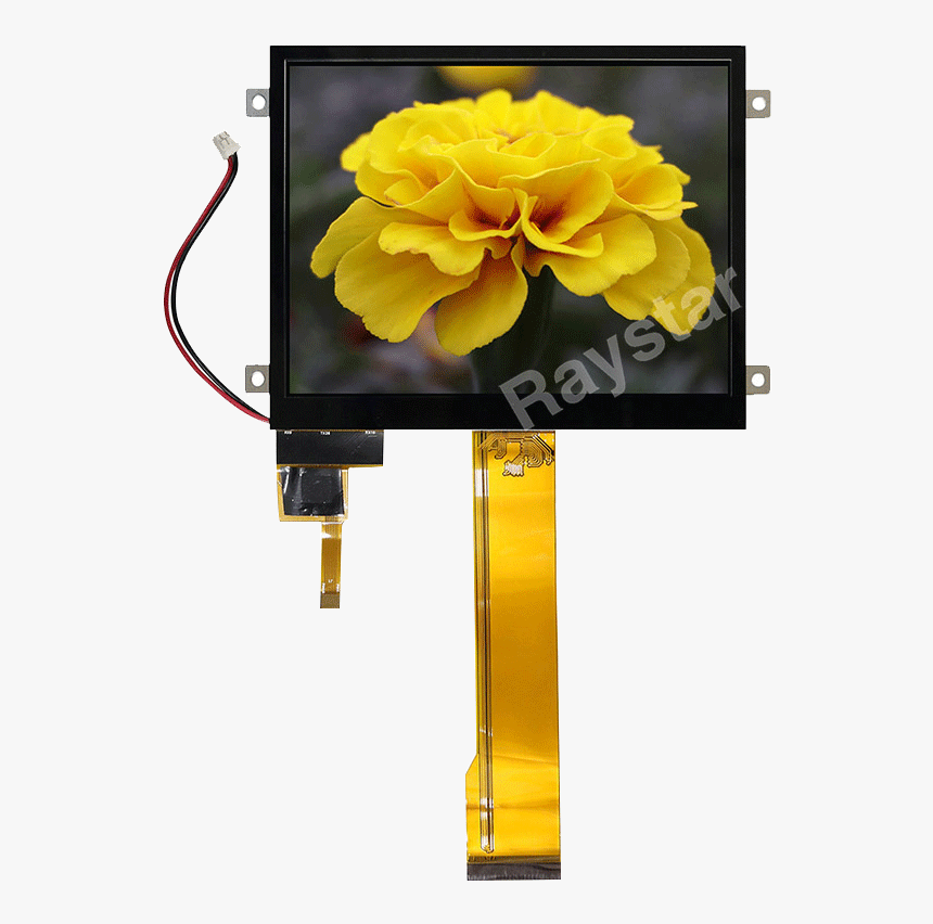 7 Inch Active Pacp Tft Display - Peony, HD Png Download, Free Download