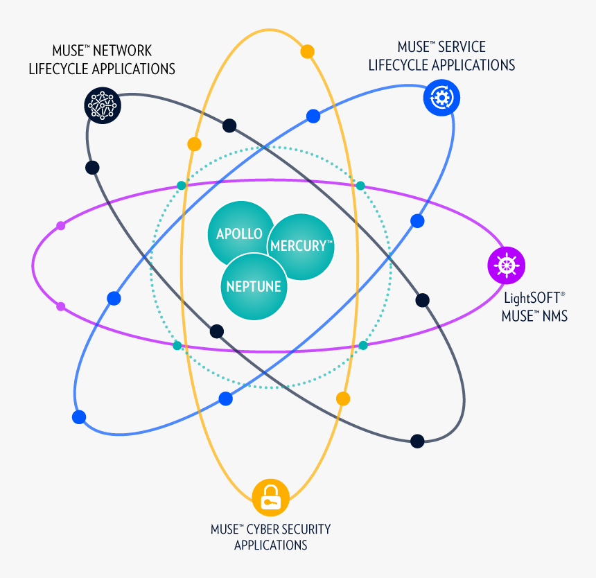 Network Life Cycle, HD Png Download, Free Download