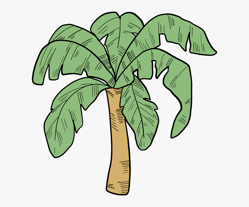 Palm Tree, HD Png Download, Free Download