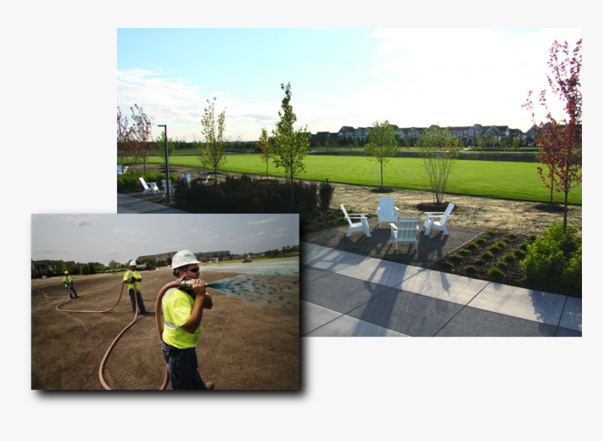 Msc Helping With Maple Grove"s New Central Park - Thuya, HD Png Download, Free Download