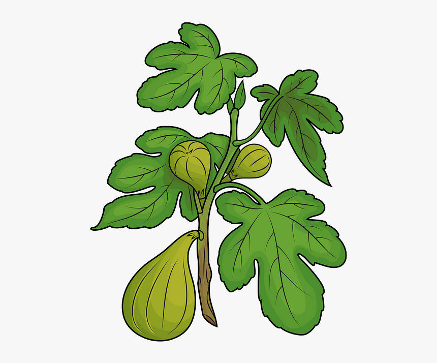 Clip Art, HD Png Download, Free Download
