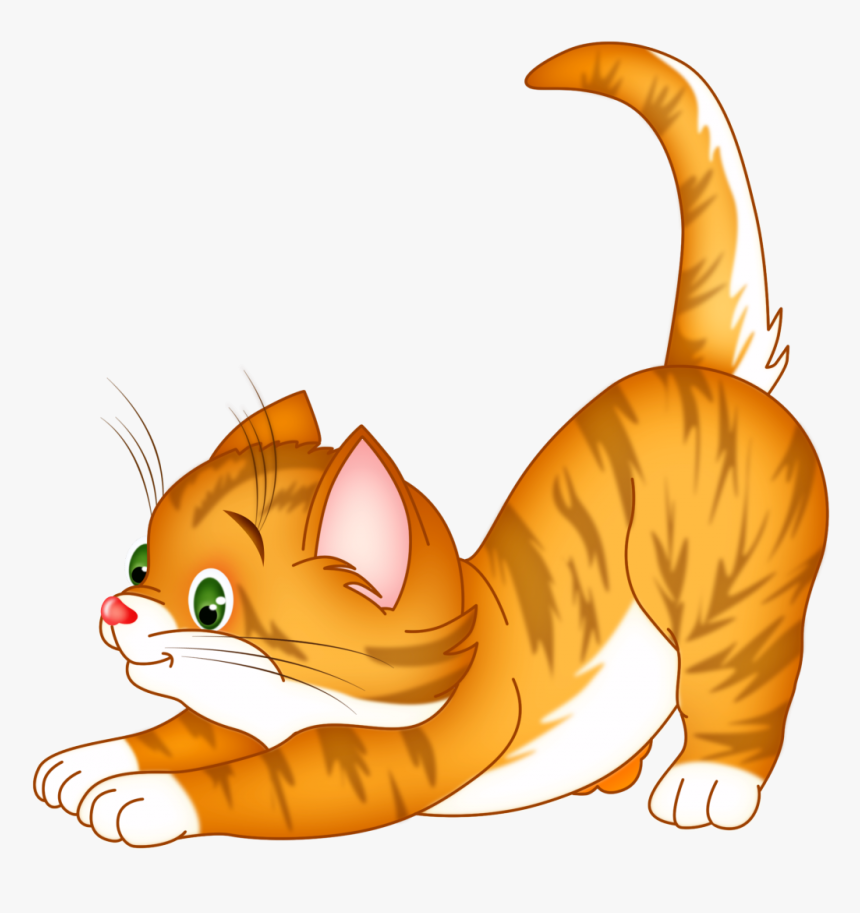 Котик пнг рисунок