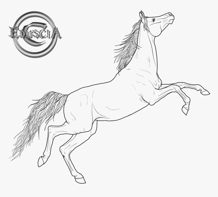 Friesian Horse - Arabian Horse Coloring Page, HD Png Download, Free Download