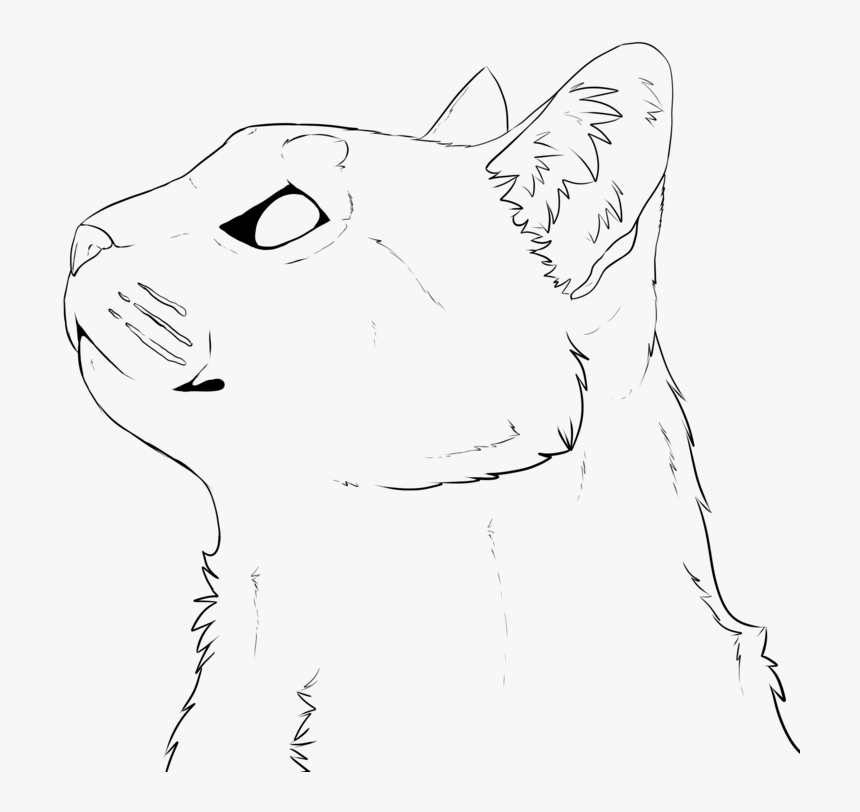 Transparent Cat Head Clip Art - Cat Face Drawing Realistic, HD Png Download, Free Download