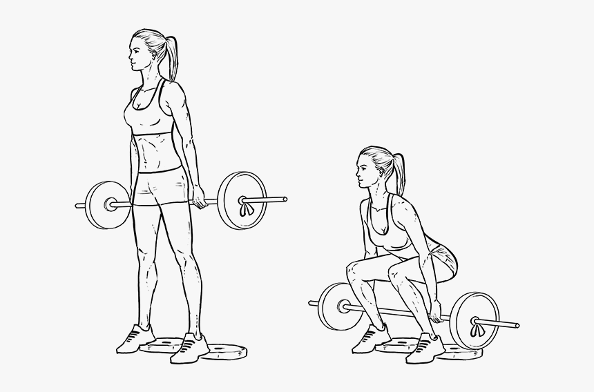 Workout Builder For Women - Women Exercise Drawing, HD Png Download, Free Download