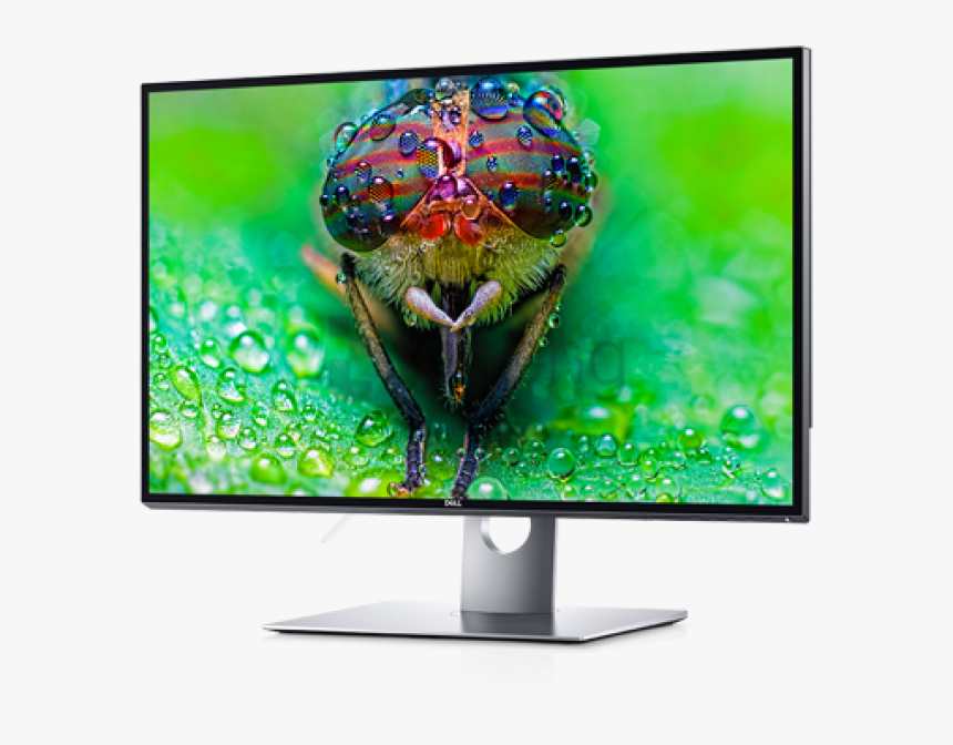 Free Png Dell Computer Monitor Png Png Image With Transparent - Monitor 8k, Png Download, Free Download