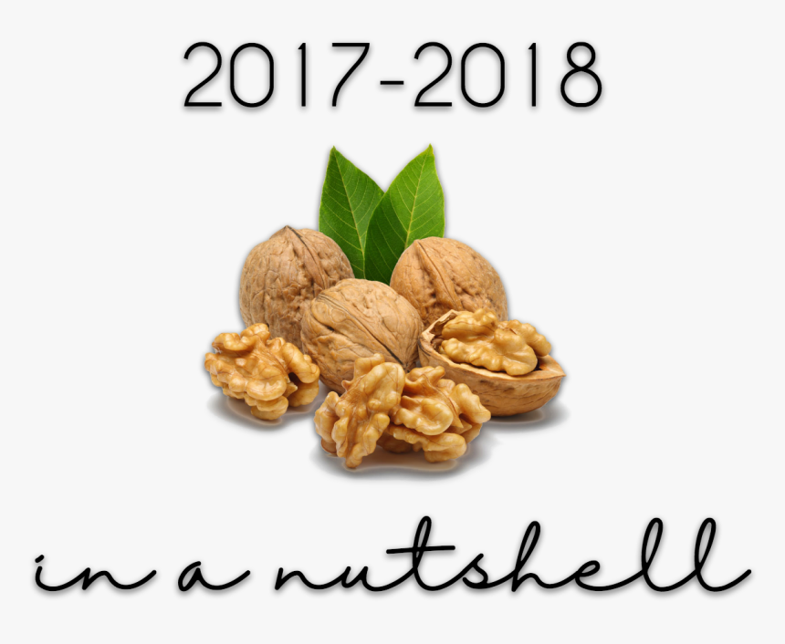 Walnuts Kernels, HD Png Download, Free Download