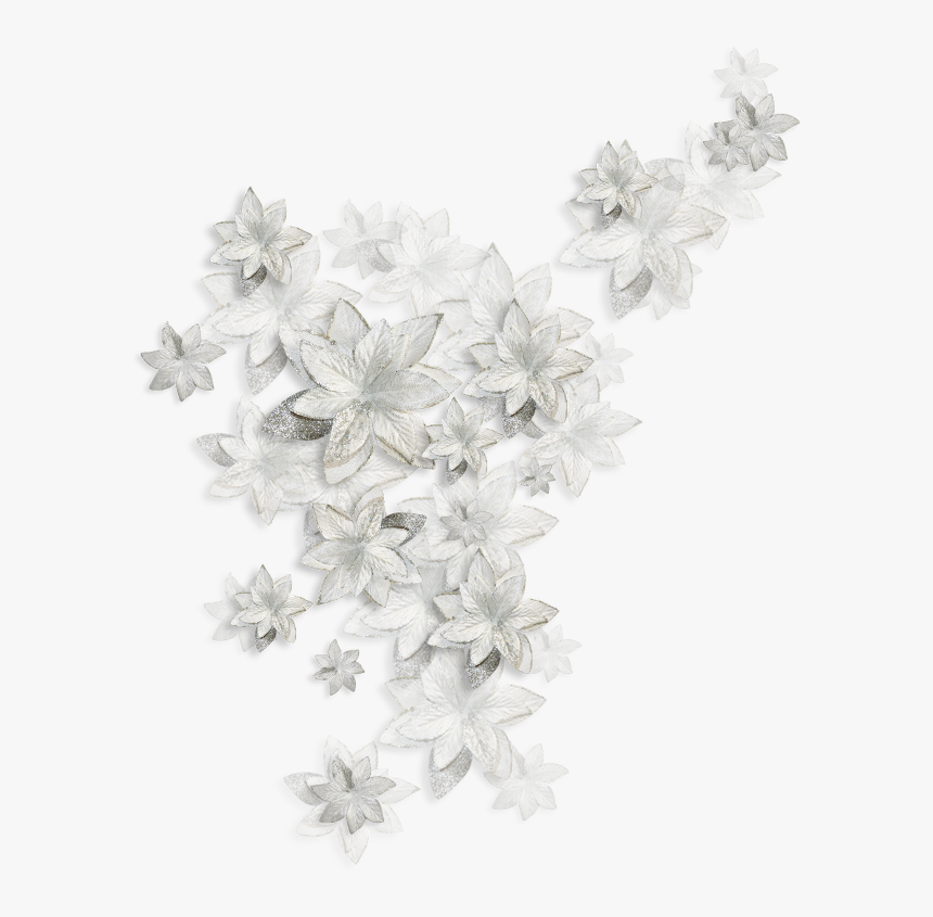 Thumb Image - Fiori Bianchi Png, Transparent Png, Free Download