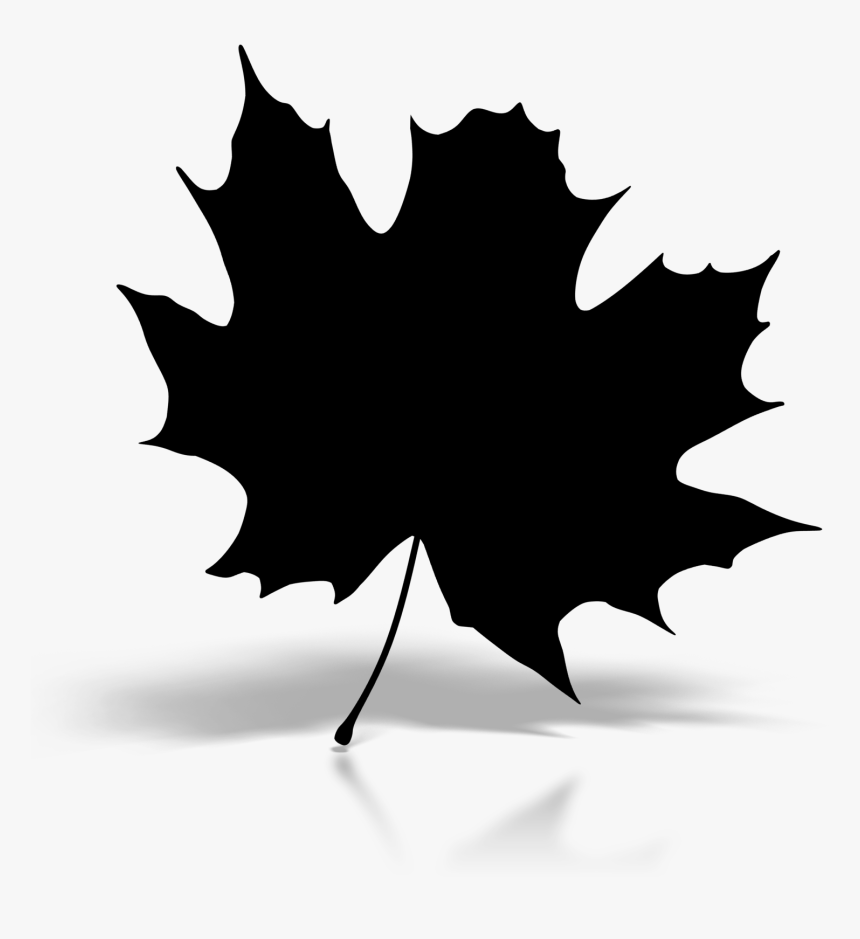 Maple Leaf Baku Silhouette Image Clip Art - Maple, HD Png Download, Free Download