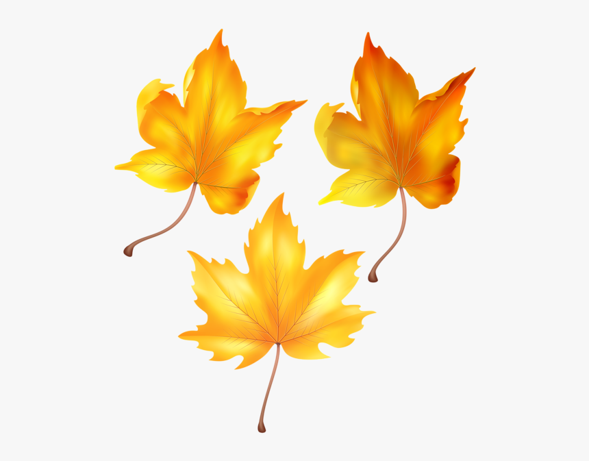 Transparent Cartoon Fall Leaves, HD Png Download, Free Download