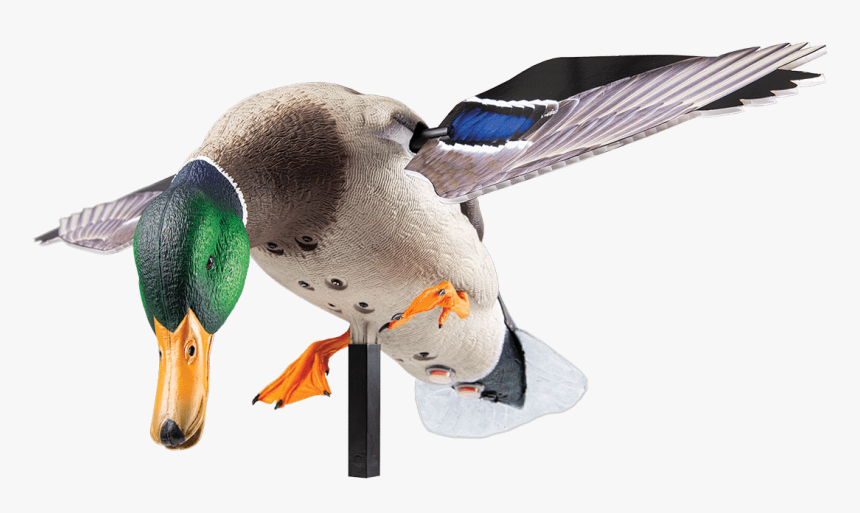 Powerflightmallard Decoy Min - Mallard, HD Png Download, Free Download