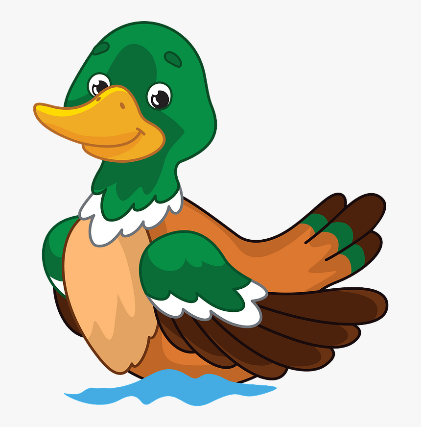 Mallard, HD Png Download, Free Download