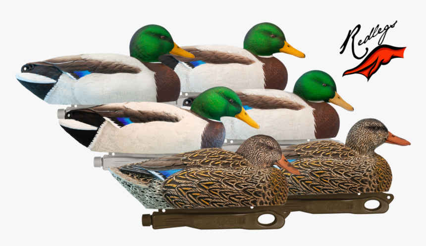 Hardcore Mallard Rugged, HD Png Download, Free Download