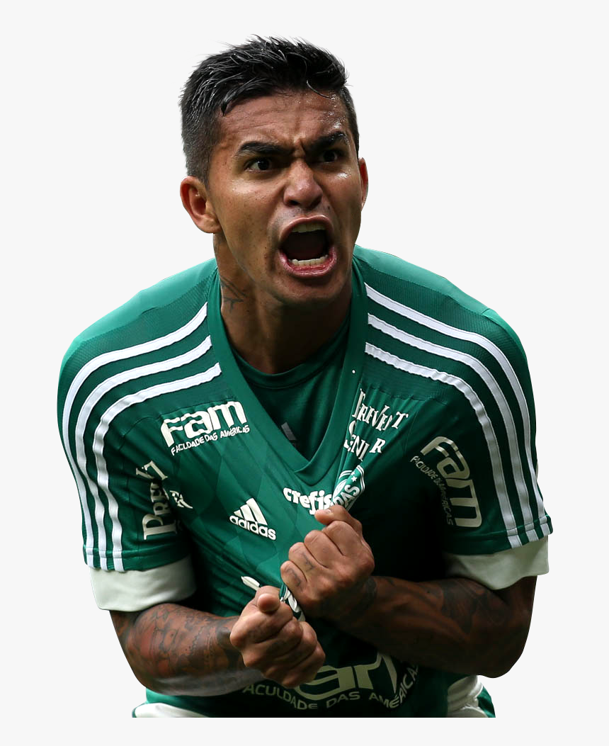 Dudu Palmeiras Png , Png Download - Png Image Dudu Palmeiras Png, Transparent Png, Free Download