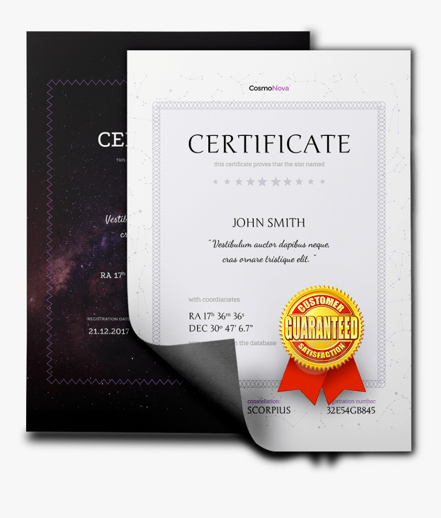 Transparent Certificate Template Png - Flyer, Png Download, Free Download