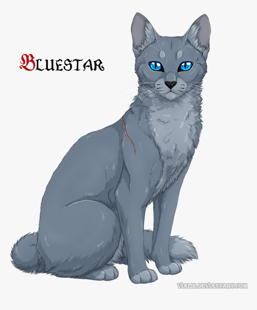 Warriors Cats Firestar And Bluestar, HD Png Download, Free Download