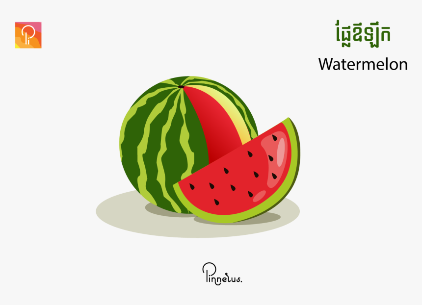 Watermelon Vector Illustration Source - Watermelon, HD Png Download, Free Download
