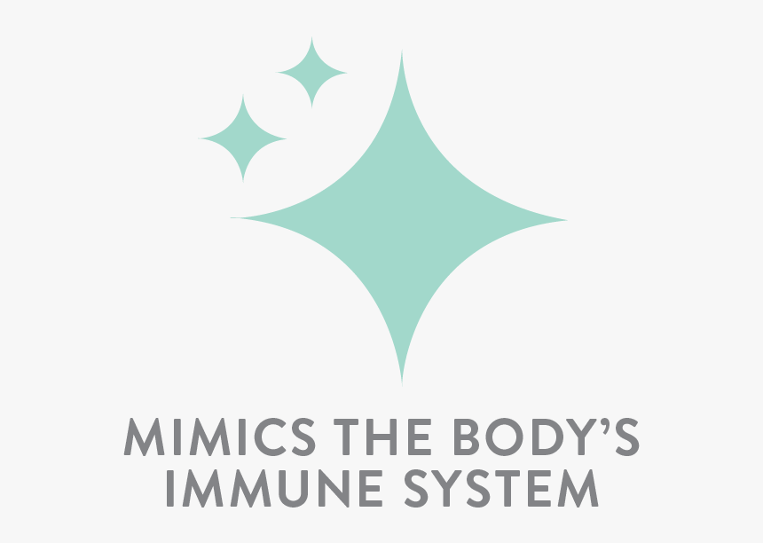 Mimics The Body"s Immune System - Graphic Design, HD Png Download, Free Download