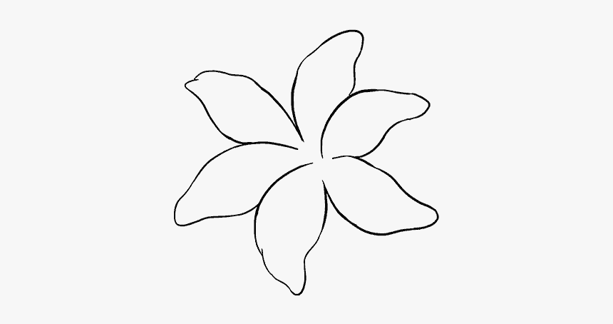 How To Draw Lily - Line Art, HD Png Download, Free Download