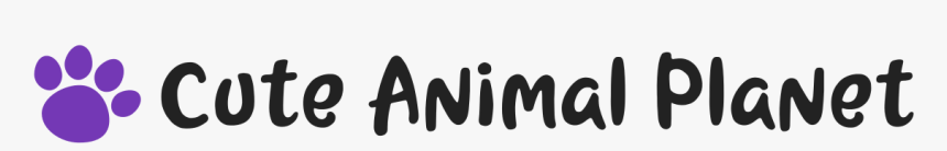 Lavender, HD Png Download, Free Download