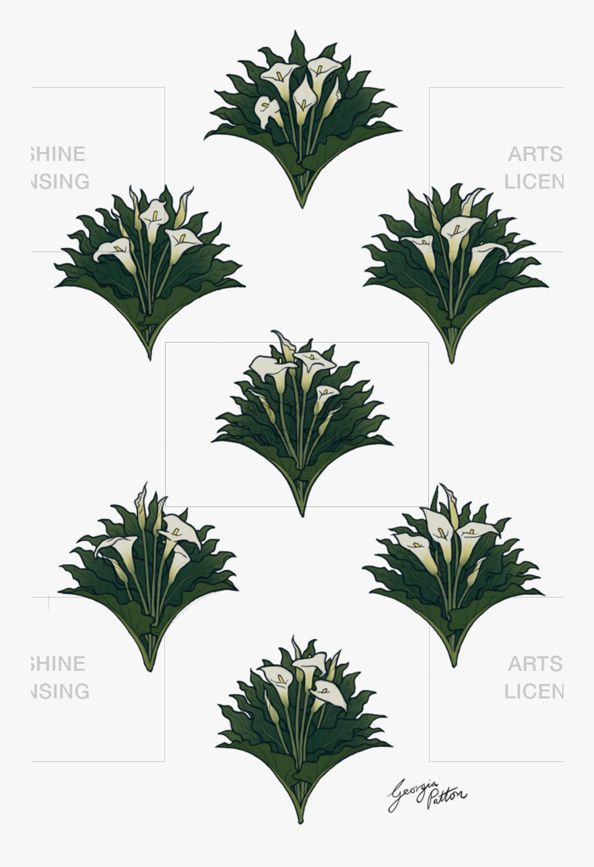 Calla Lillies - Tree, HD Png Download, Free Download