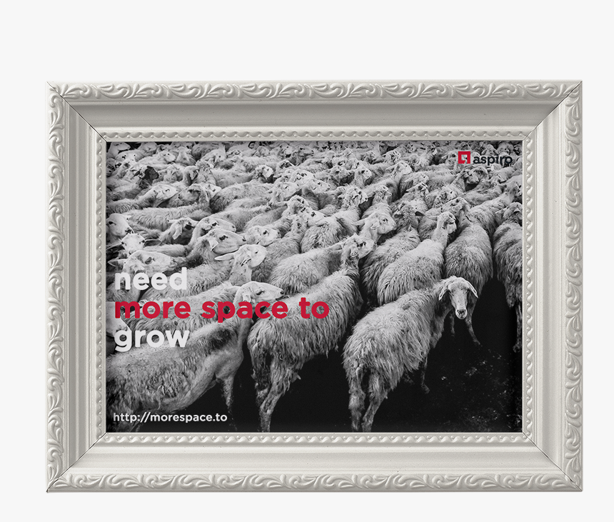 Pecore Subito Sardegna, HD Png Download, Free Download