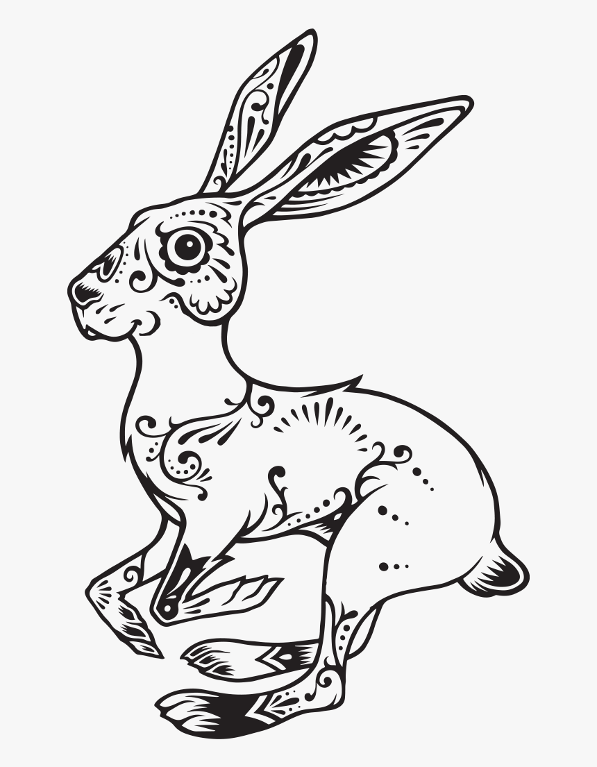 The Meaning Of The Rabbit - Suerte Tequila, HD Png Download, Free Download