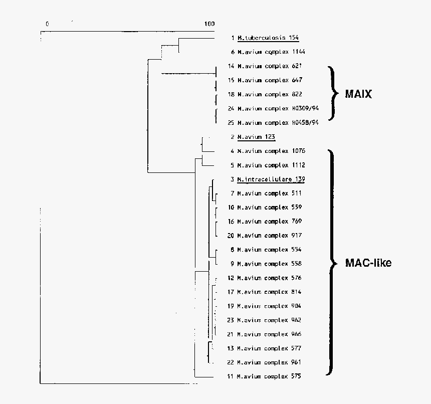 Document, HD Png Download, Free Download