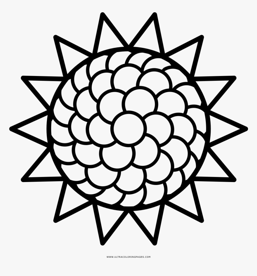 Sunflower Coloring Page - National Science Foundation Logo, HD Png Download, Free Download