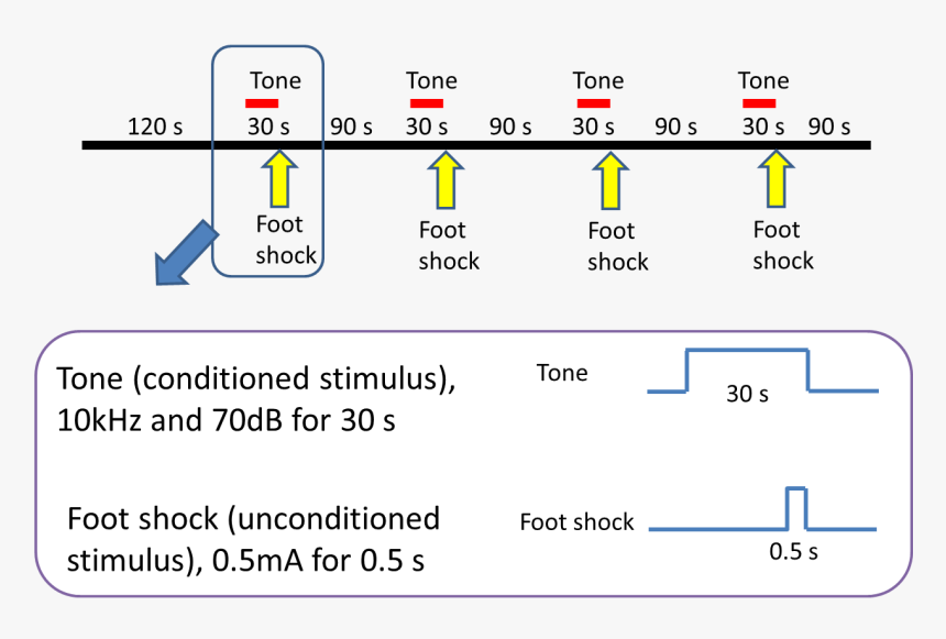Screenshot, HD Png Download, Free Download