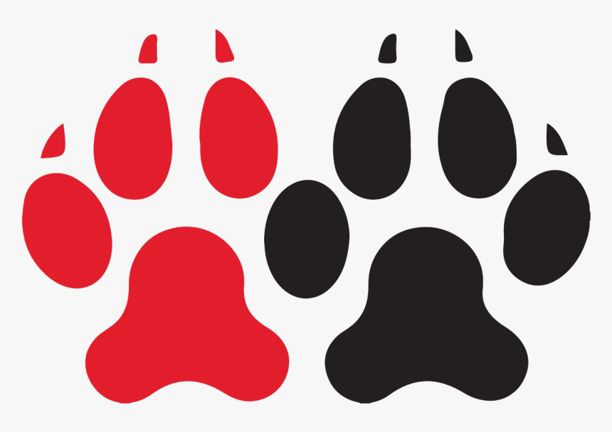 Northeastern University Northeastern Huskies Men"s - Wolf Paw Print Clipart, HD Png Download, Free Download