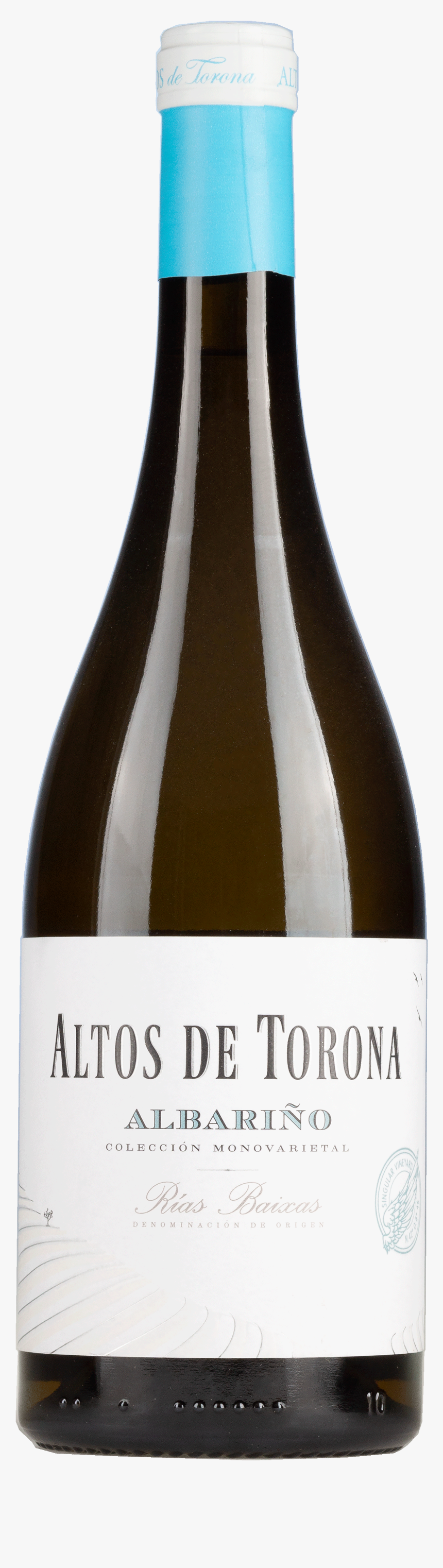 Vase, HD Png Download, Free Download