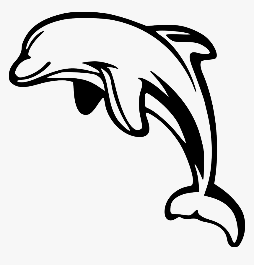 Dolphin Leaping White Free Photo - Dolphins Clipart, HD Png Download, Free Download