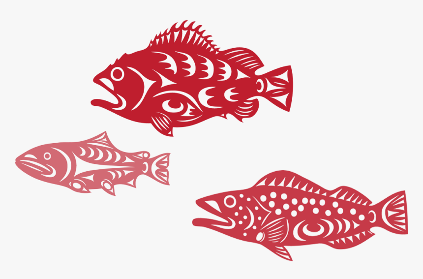 Red Fish Group , Png Download - Salish Fish Graphics, Transparent Png, Free Download