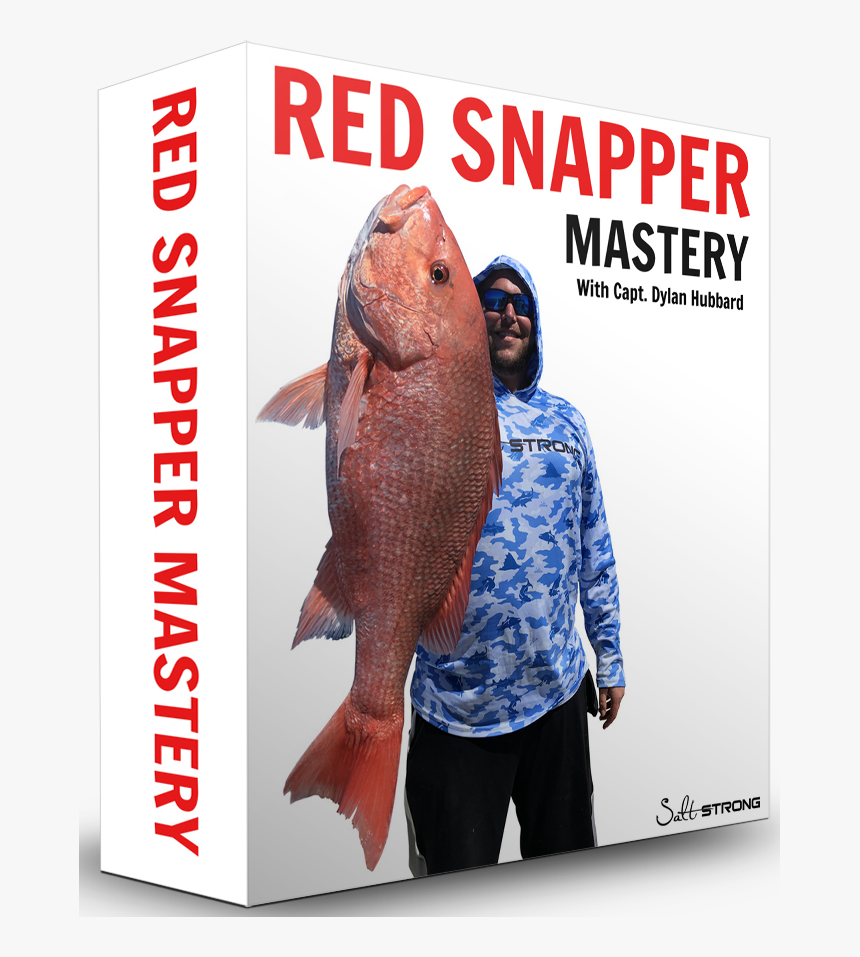 How To Catch Red Snapper - Red Snapper, HD Png Download, Free Download