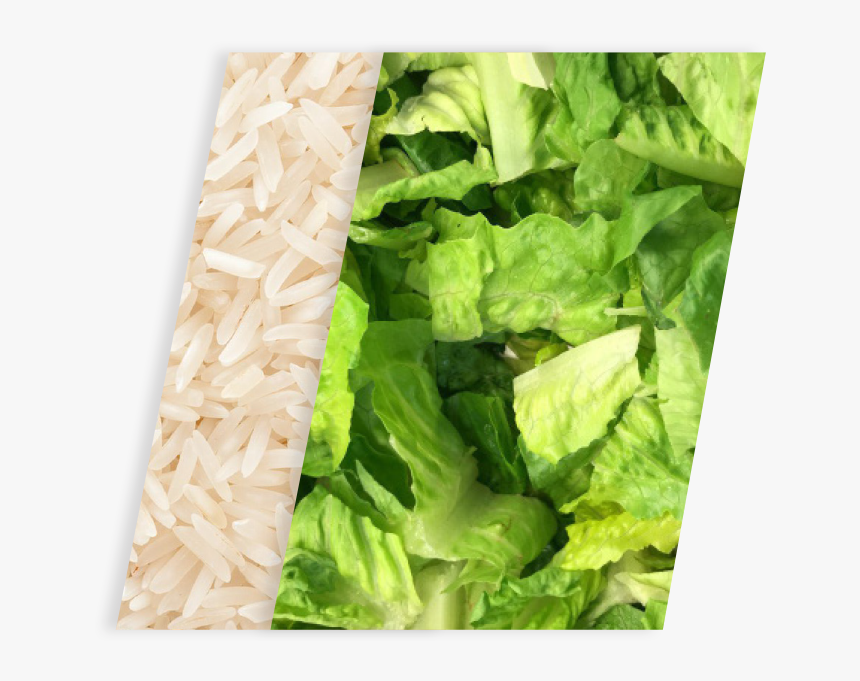 B Rice-romaine - Chopped Romaine Lettuce, HD Png Download, Free Download
