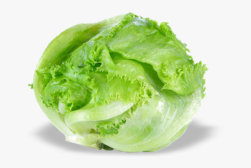 Iceburg Lettuce, HD Png Download, Free Download