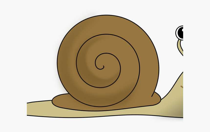 Snail, HD Png Download, Free Download