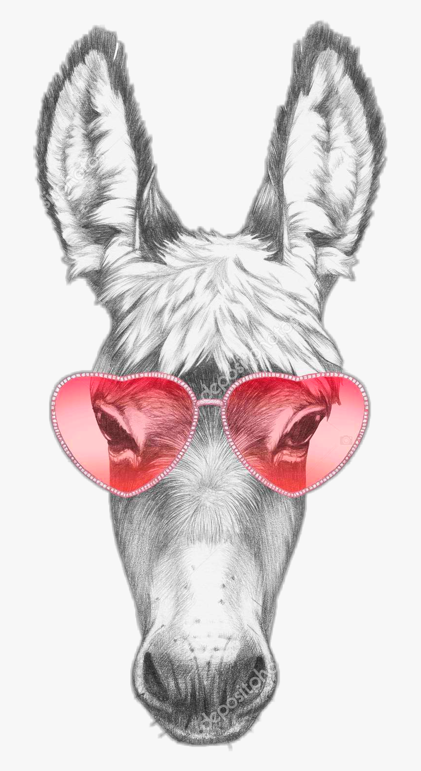 #donkey #donkeys #animal #donky #horse #osioł #sunglasses - Donkey Drawing Portrait, HD Png Download, Free Download