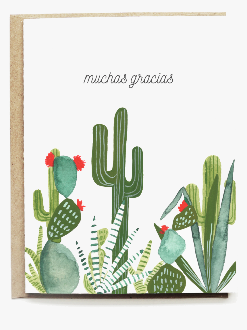 Cactus Poly Mailers, HD Png Download, Free Download