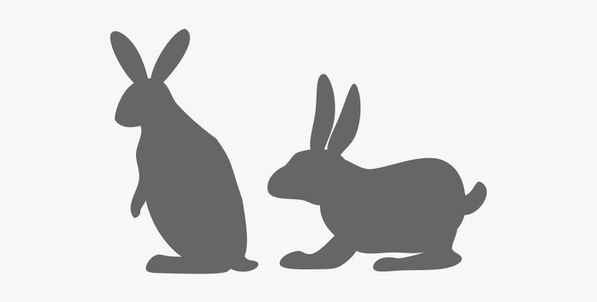 Rabbit Image Vector Example Image - Domestic Rabbit, HD Png Download, Free Download