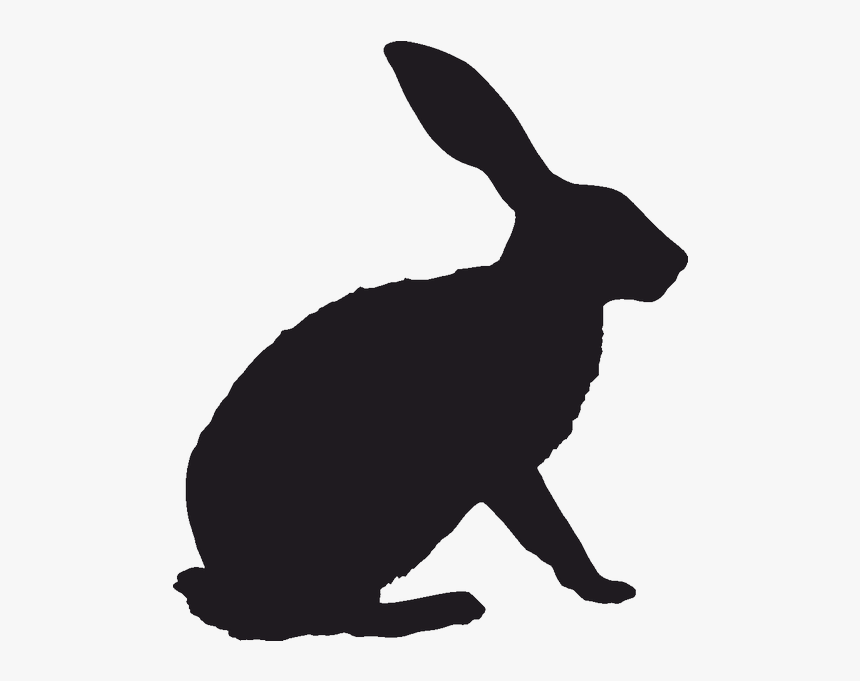 Hare Rabbit Vector Graphics Image Silhouette - Black Tailed Jackrabbit Silhouette, HD Png Download, Free Download