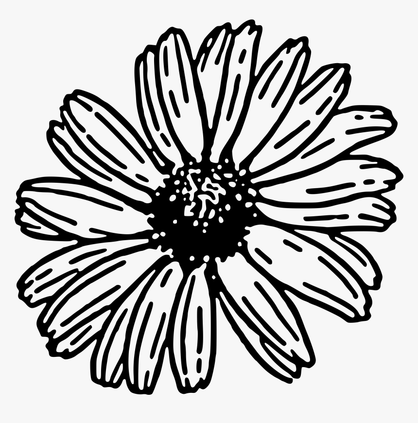 Daisy 2 Clip Arts - Black And White Daisy Flower Clipart, HD Png Download, Free Download