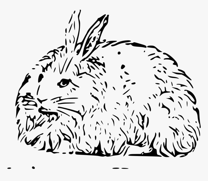 Free Vector Angora Rabbit - Angora Rabbit Clipart, HD Png Download, Free Download
